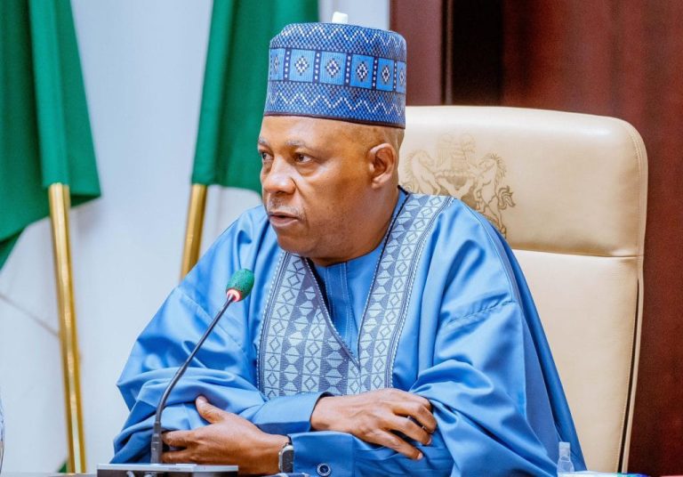 People Told Tinubu I Planned To Kill Him – Shettima