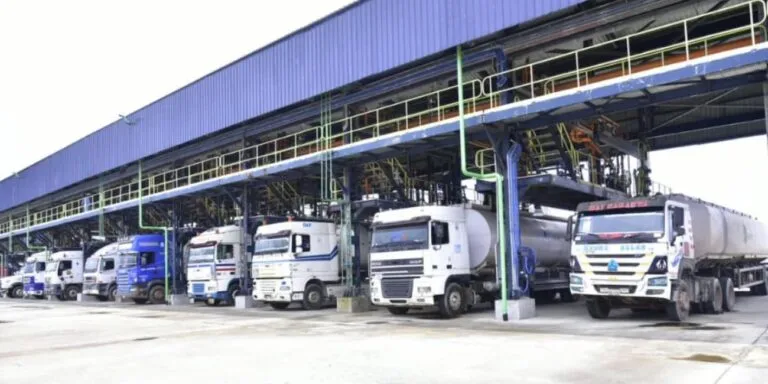 Dangote Dollar Fuel Sales Spark Fears of Petrol Price Hike