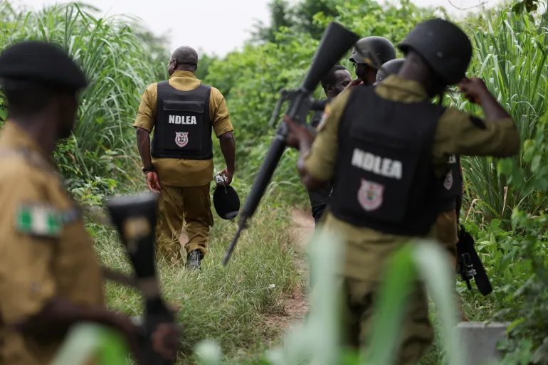 Zamfara Bandit Attack Kills More Than 20 in Northwest Nigeria